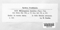 Melampsoridium betulinum image